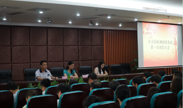 集团团委成立暨第一次团员大会胜利召开