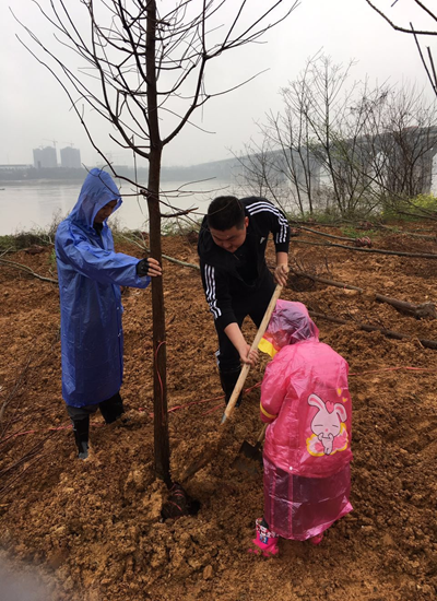 公司团委组织开展植树活动