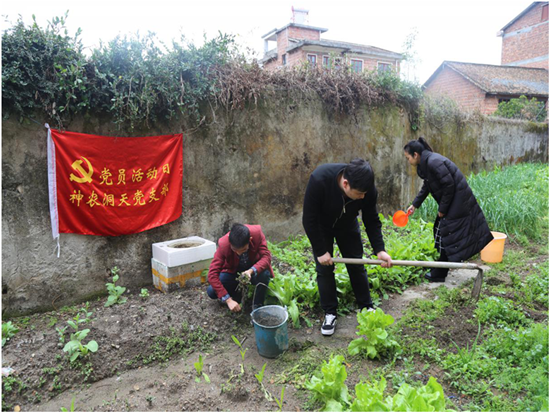弘扬雷锋精神 争做新时代先锋——株洲国投集团各基层党组织广泛开展“学雷锋”主题党日活动