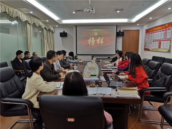 强学习抓落实 学榜样促提升 ——国投水木支部12月份主题党日活动