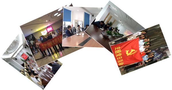 5月的主题党日,我们这样过