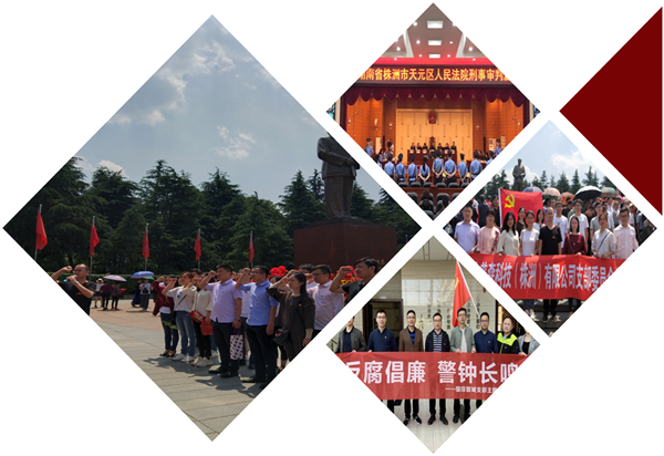 5月的主题党日,我们这样过