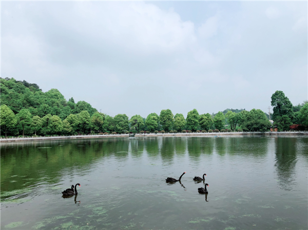 集团工会组织员工开展春游踏青活动