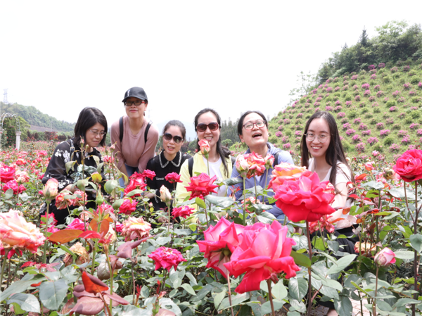 集团工会组织员工开展春游踏青活动