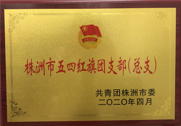 喜报！国投集团荣获全市共青团系统多项荣誉