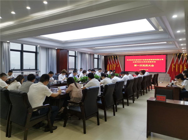 践行初心使命 勇于担当作为——市国投集团土地开发分公司成立党支部