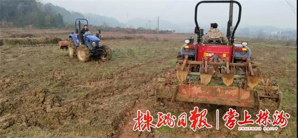 长在田间地头的“亿元市场”