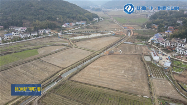 株洲：土地流转规模化“转”出乡村新活力