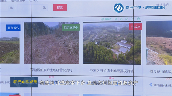 株洲：土地流转规模化“转”出乡村新活力