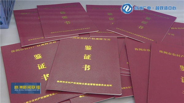 株洲：土地流转规模化“转”出乡村新活力