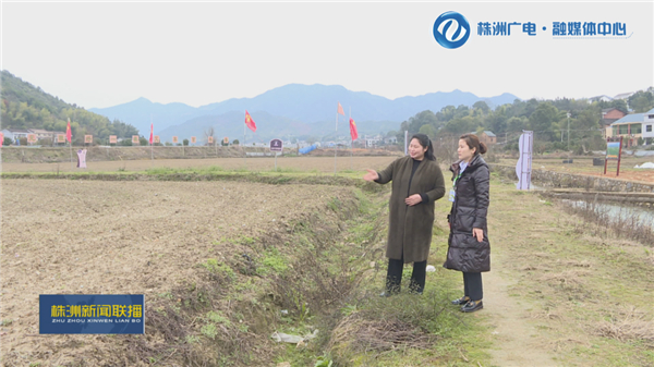 株洲：土地流转规模化“转”出乡村新活力