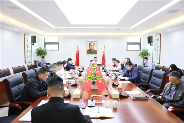 株洲国投集团召开第十三次党委（扩大）会议