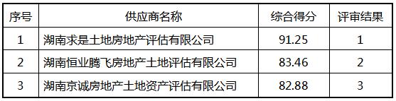 湖南大美新芦淞商贸物流园开发有限公司股权评估服务机构采购项目（第二次）成交结果公告