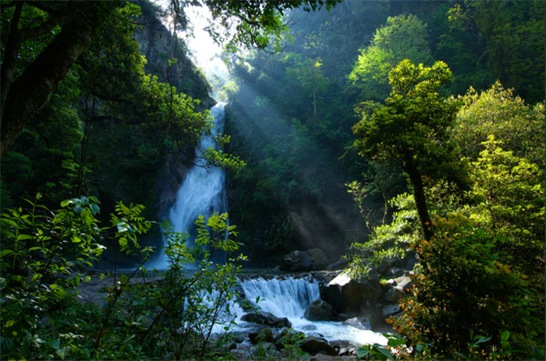 神农谷国家森林公园入选“湖南省华侨文化交流基地”