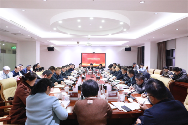 市委常委、常务副市长阳望平一行调研国投集团