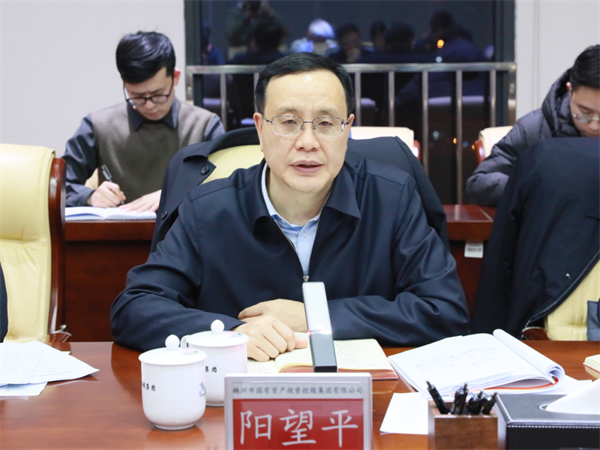 市委常委、常务副市长阳望平一行调研国投集团