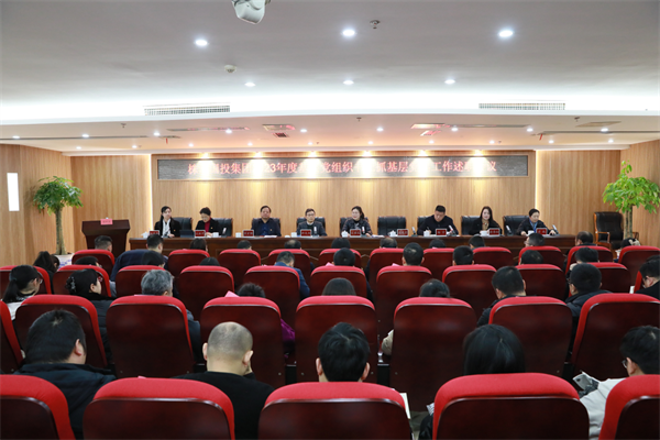 以“述”促改 以“评”促建——株洲国投集团召开2023年度基层党组织书记抓基层党建工作述职评议会