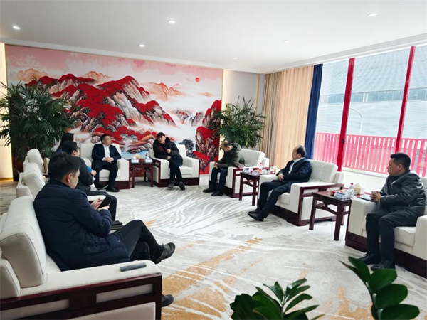 株洲国投集团党委书记、董事长周述勇一行赴重庆、合肥学习考察交流