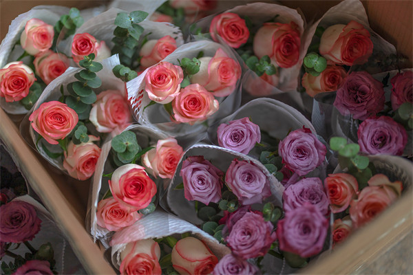 双向奔赴 缘梦而来——株洲国投集团联合中车株机开展520单身联谊活动